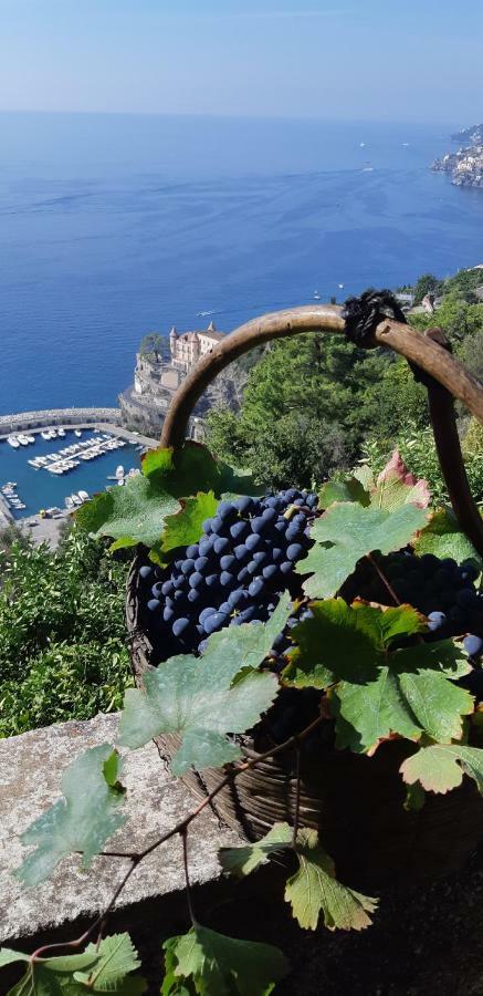 #La Limonaia Della Torretta Villa Minori Exterior photo